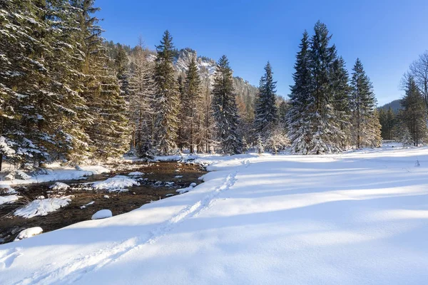 Tatrabergen på snöig vinter, Polen — Stockfoto
