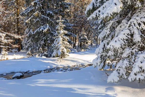 Tatry w mroźną zimę, Polska — Zdjęcie stockowe