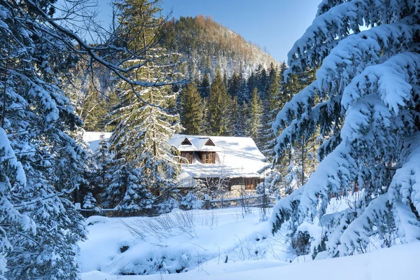 Montagne di Tatra in inverno nevoso, Polonia — Foto Stock
