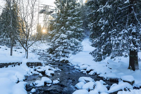 雪の降る冬、ポーランドのタトラ山脈 — ストック写真