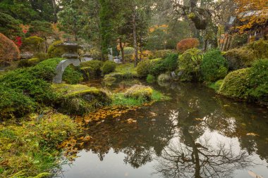 Sonbahar toplayan Nikko Milli Parkı