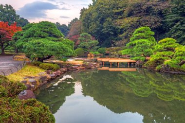 Sonbahar Shinjuku Tokyo Park
