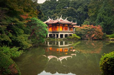 Sonbahar Shinjuku Tokyo Park