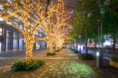 Shinjuku Tokyo. bölgede kış aydınlatma