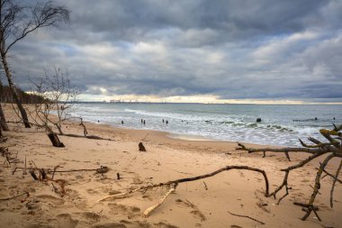 Baltık Denizi beach fırtınalı havalarda
