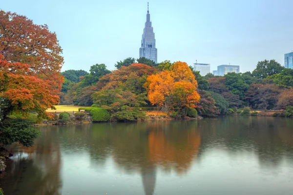 Autunno nel Parco Shinjuku di Tokyo — Foto Stock