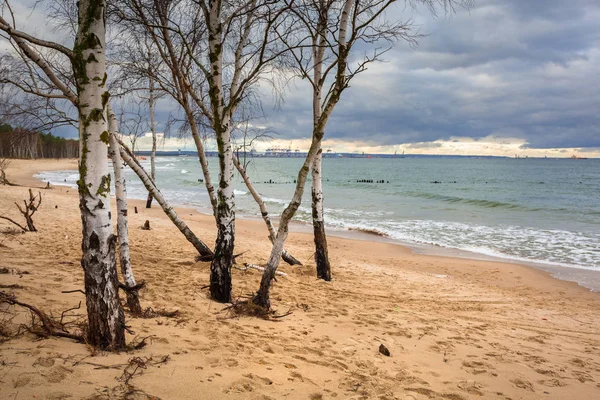 Playa del Mar Báltico en clima tormentoso — Foto de Stock