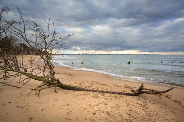 Mar Baltico spiaggia in tempo tempestoso — Foto Stock