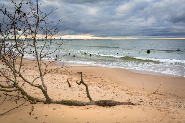 Baltic Sea beach in stormy weather