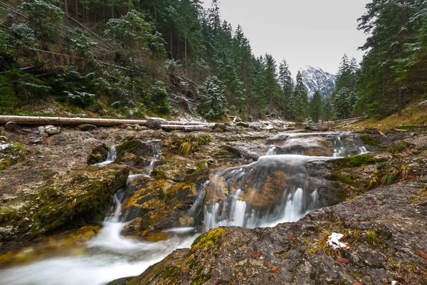Mountain Creek Tatry Polska — Zdjęcie stockowe