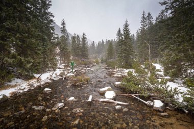Balık Creek tatra Dağları, Polonya, yoğun kar yağışı