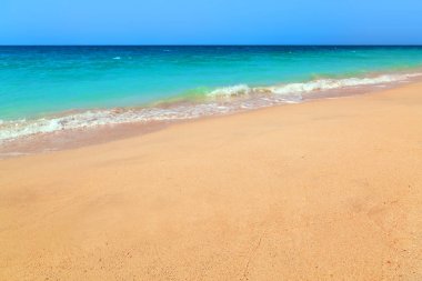Karayip Denizi tropikal plaj sahne