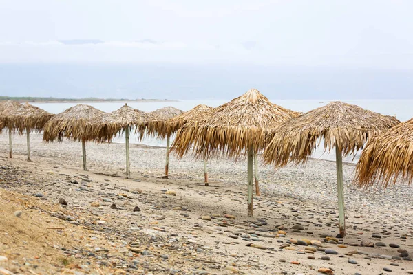 Tropical Parasols Maleme Beach Crete Greece — Stock Photo, Image