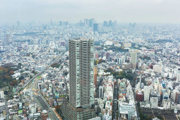 Tokyo Japan November 2016 Luchtfoto Van Tokyo Metropolis Van 60Ste — Stockfoto