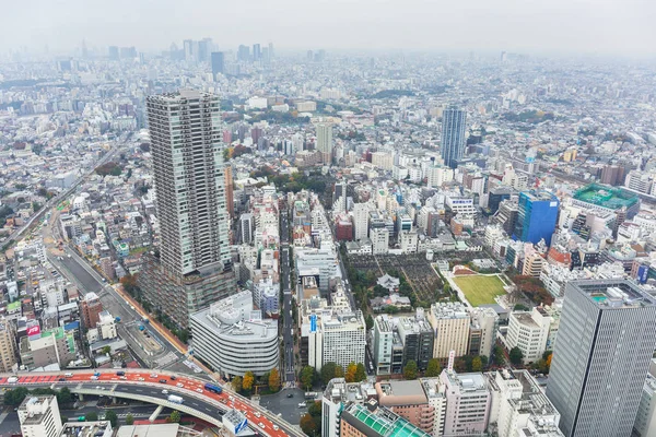 日本东京 2016 层的阳光城市摩天大楼 日本东京都的鸟瞰图 东京都是日本人口最多的城市和首都 — 图库照片