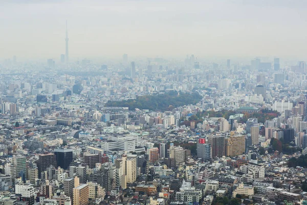 日本东京 2016 层的阳光城市摩天大楼 日本东京都的鸟瞰图 东京都是日本人口最多的城市和首都 — 图库照片