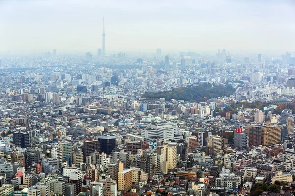 Tokio Japonia Listopada 2016 Widok Lotu Ptaka Dla Metropolii Tokyo — Zdjęcie stockowe