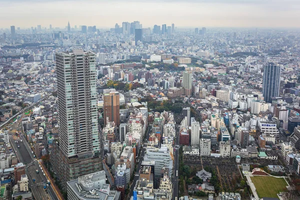 Tokio Japan November 2016 Luftaufnahme Der Tokioter Metropole Vom Stock — Stockfoto