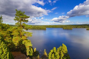Pastoral Gölü sahne yaz aylarında, İsveç