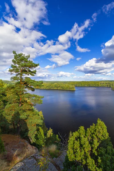 Idylická Krajina Jezera Letním Období Švédsko — Stock fotografie