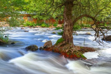 Güney İsveç'te KADEMELI Rocky creek