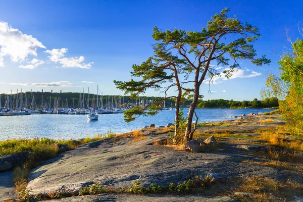스웨덴의 해안선 — 스톡 사진