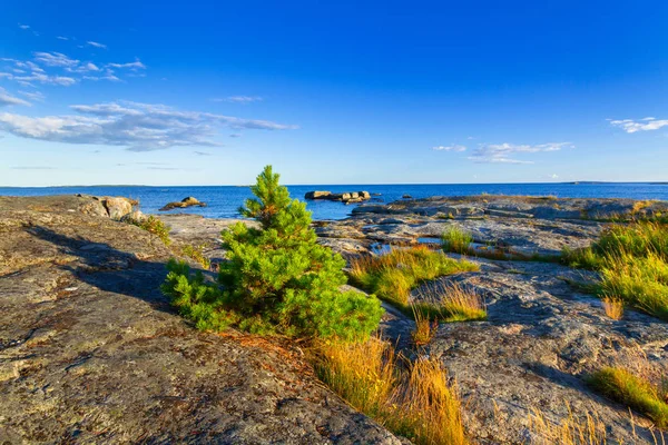 Bella Costa Del Mar Baltico Svezia — Foto Stock