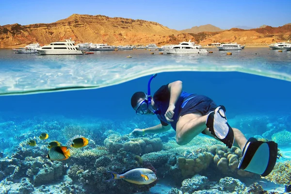 Uomo Fare Snorkeling Nell Acqua Tropicale — Foto Stock