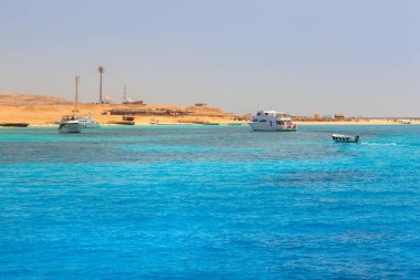 Mahmya Island, Mısır kırmızı deniz Lagoon