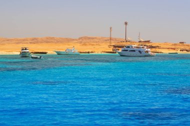 Mahmya Island, Mısır kırmızı deniz Lagoon