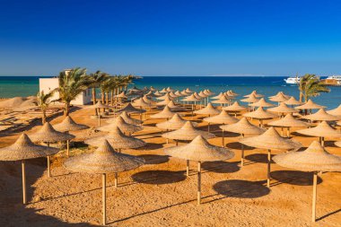 Şemsiye Hurghada, Mısır on Red Sea beach