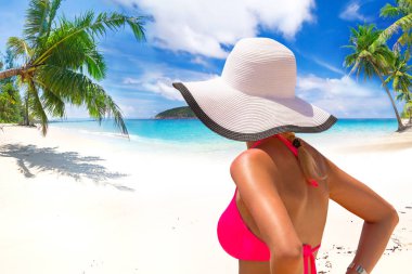 Tatil tropikal plaj