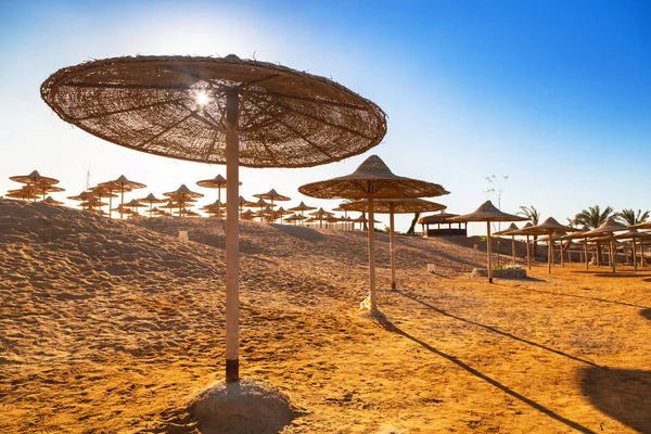 Sonnenschirme Strand Des Roten Meeres Hurghada Ägypten — Stockfoto