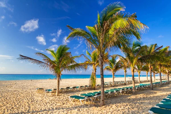 Пляж Карибському Морі Плайя Дель Кармен Мексика — стокове фото