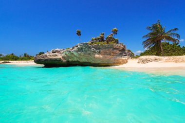 Bir Playa del Carmen, Meksika inanılmaz Karayip Denizi Beach'de