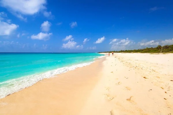 Strand Aan Caribische Zee Playa Del Carmen Mexico — Stockfoto