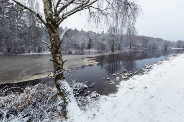 Morrum River Güney İsveç'te kış manzarası