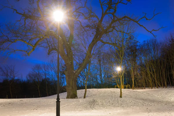 Verschneiter Winter Park Der Abenddämmerung Polen — Stockfoto