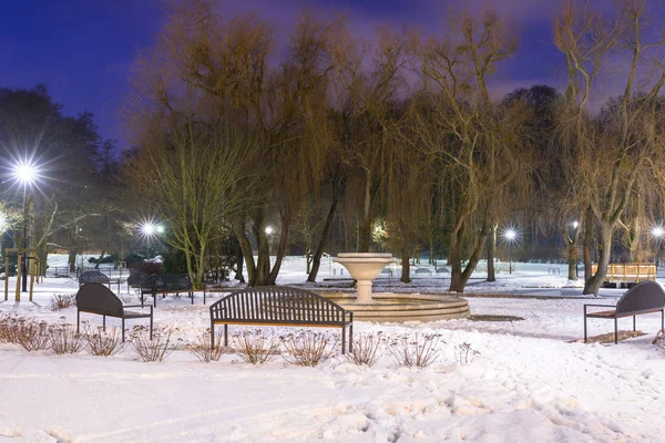 Inverno Nevoso Nel Parco Crepuscolo Polonia — Foto Stock