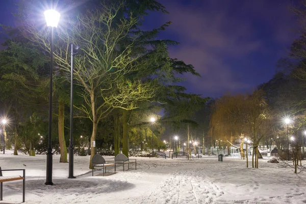 Verschneiter Winter Park Der Abenddämmerung Polen — Stockfoto