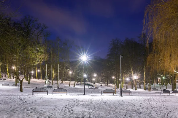 Zasněžená Zima Parku Soumraku Polsko — Stock fotografie