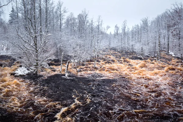 Vilda Morrum River Snörik Vinter Sverige — Stockfoto