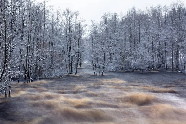 Άγριο Ποτάμι Morrum Χειμώνα Χιονισμένο Σουηδία — Φωτογραφία Αρχείου