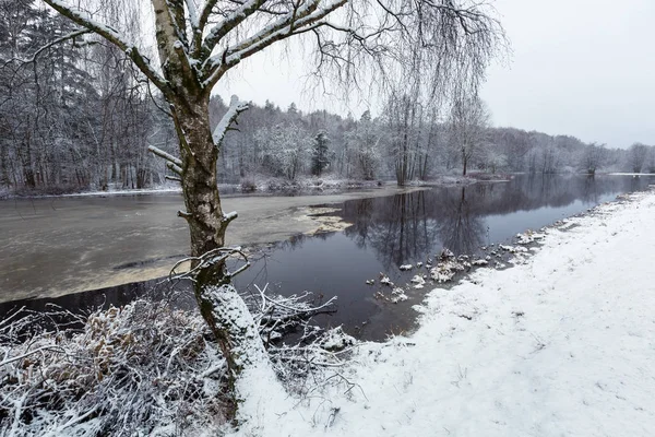 Paysage Hivernal Rivière Morrum Dans Sud Suède — Photo