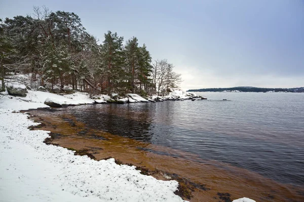 Ostseeküste Bei Karlshamn Winter Schweden — Stockfoto