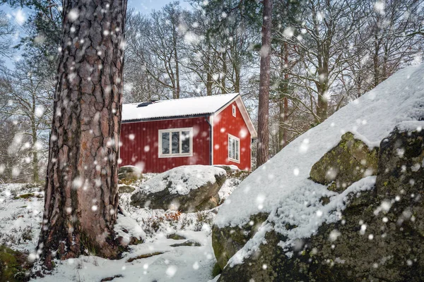 Snörik Vinter Landskap Med Röda Trähus Skogen Sverige — Stockfoto