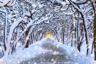 Karlı kış manzarası ara sokakta park, Polonya