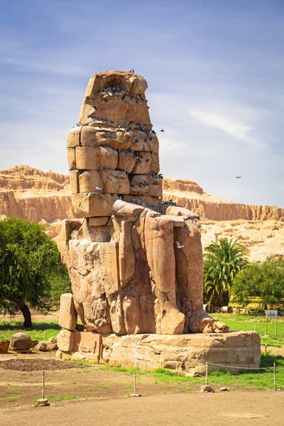 Colossi Memnon Duas Estátuas Pedra Maciça Faraó Amenhotep Iii Perto — Fotografia de Stock