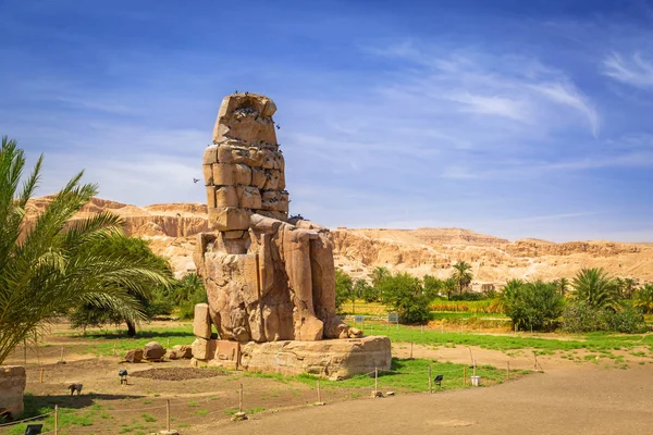 Kolosser Memnon Två Massiva Sten Statyer Farao Amenhotep Iii Nära — Stockfoto