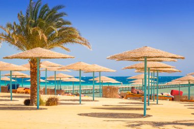 Hurghada, Mısır - 12 Nisan 2013: Hurghada içinde üç köşe Sunny Beach resort tropikal. Üç köşe olduğunu Belçika şirketi ile Mısır'daki kızıl denizde 11 otel ve bir Budapeşte, Macaristan.